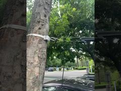 FTTH 광섬유 현수형 데드 엔드 케이블 앵커 클램프 (ADSS 케이블 8-12mm용)