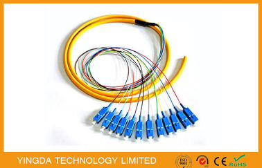 주문 기업 12 중핵 SC 광섬유 떠꺼머리 탈주, FTTH SM LSZH SC 떠꺼머리 코닝 섬유 G652D 온라인 제조